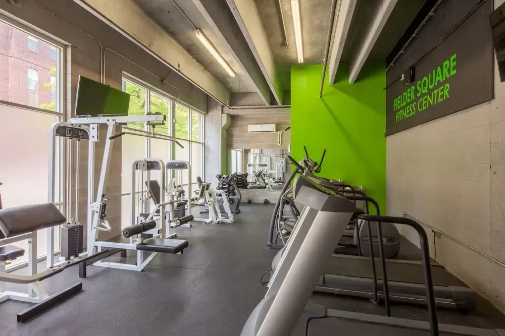 Stay Alfred on 4th Street