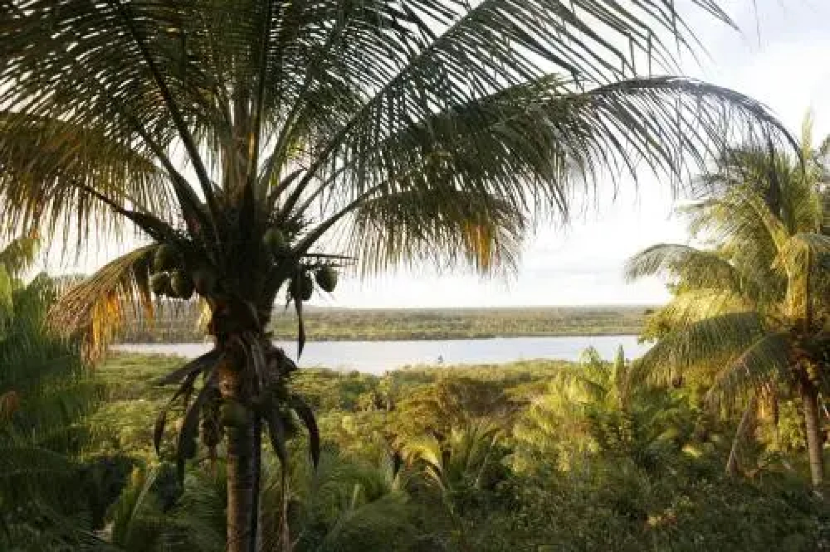 Art Jungle Eco Lodge