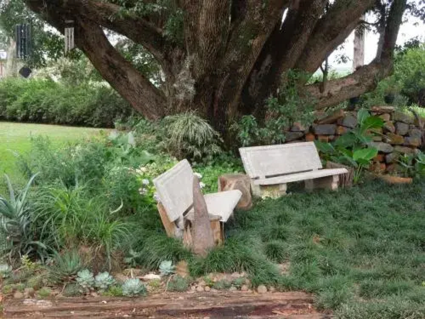 Drakensberg Terrace