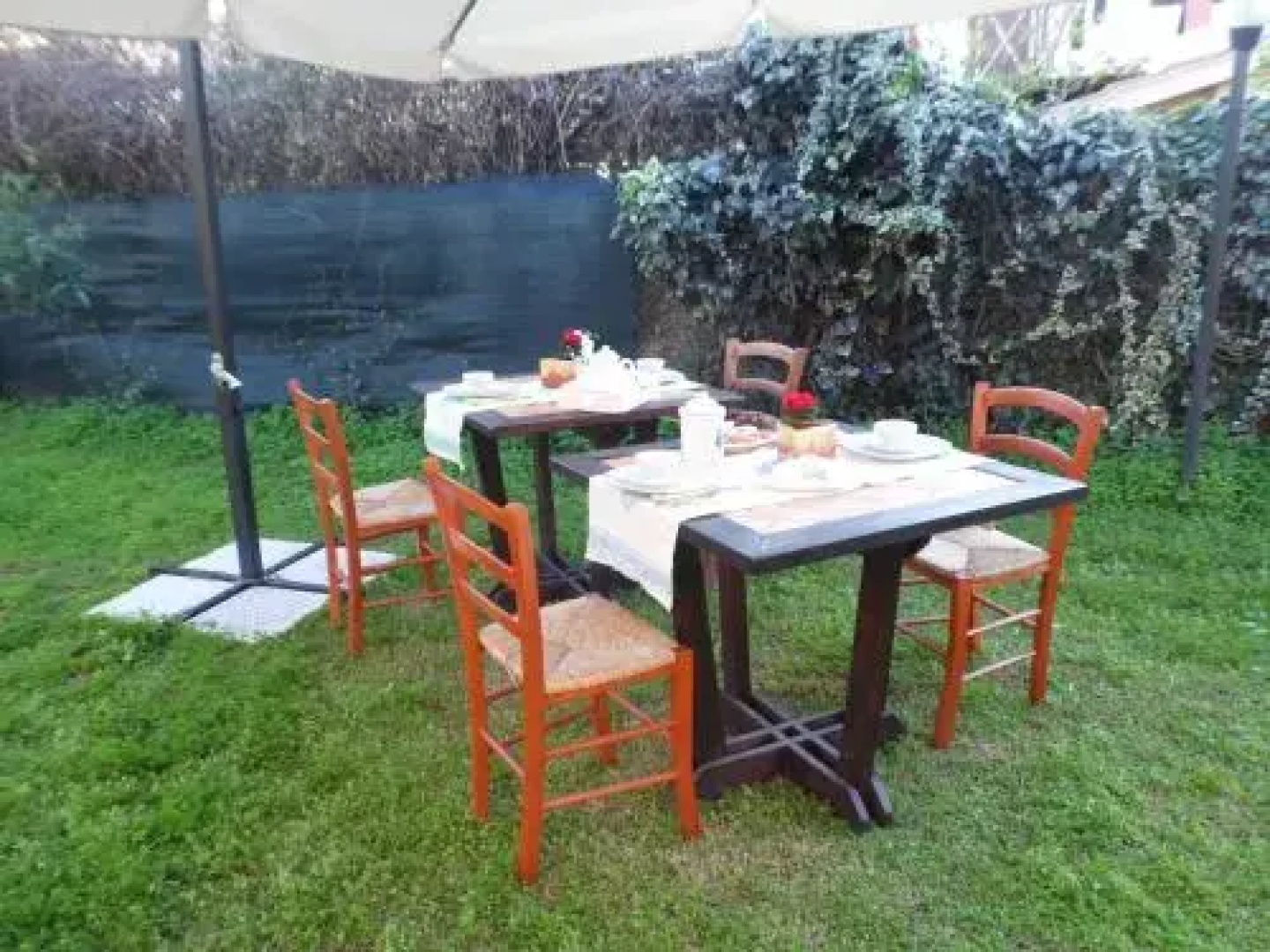 B&B degli Ulivi da Patty