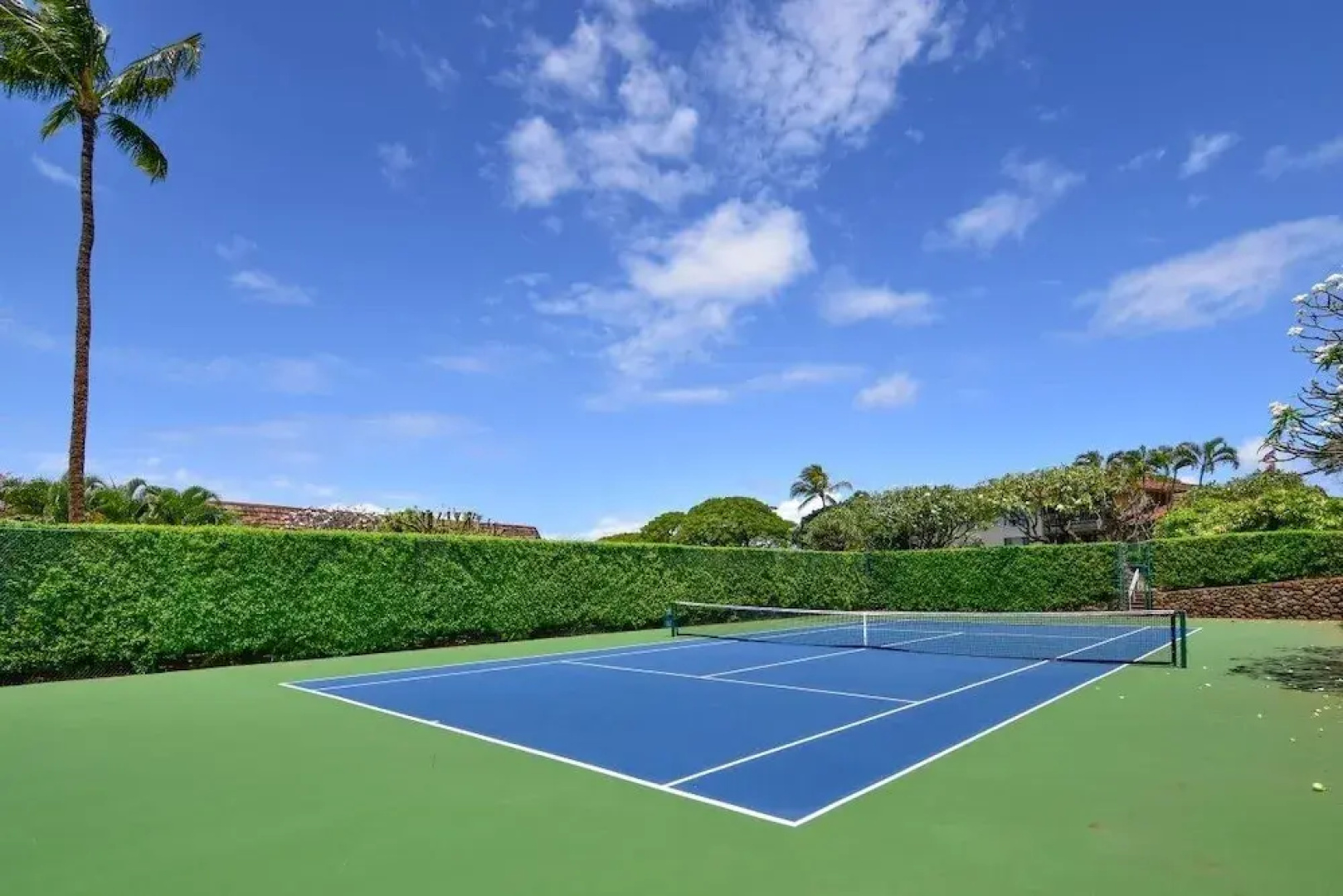 Kaanapali Plantation #59 by RedAwning