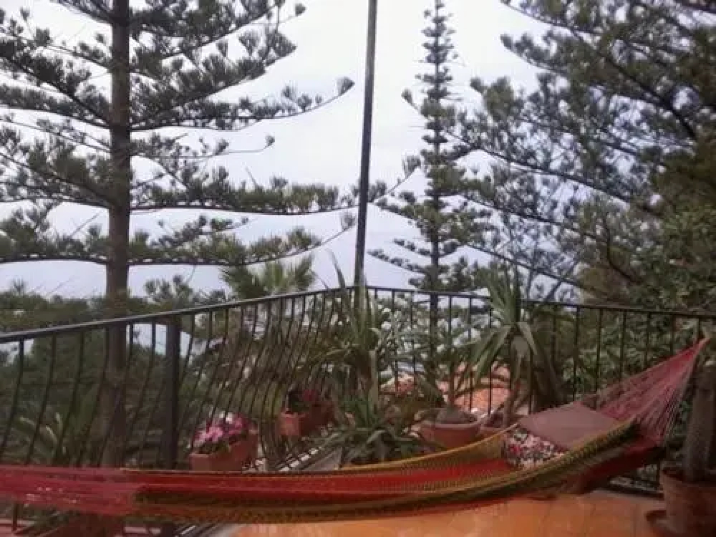 Pineta sul Mare B&B