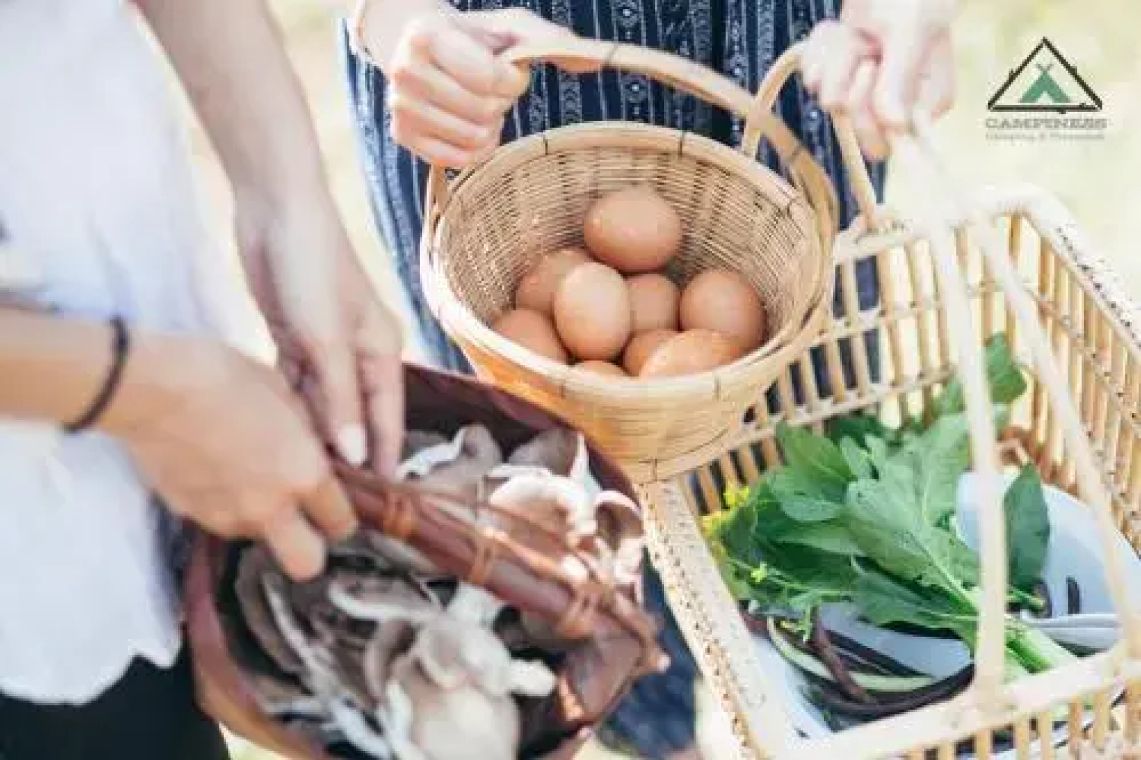 Campiness Camping & Farmsook