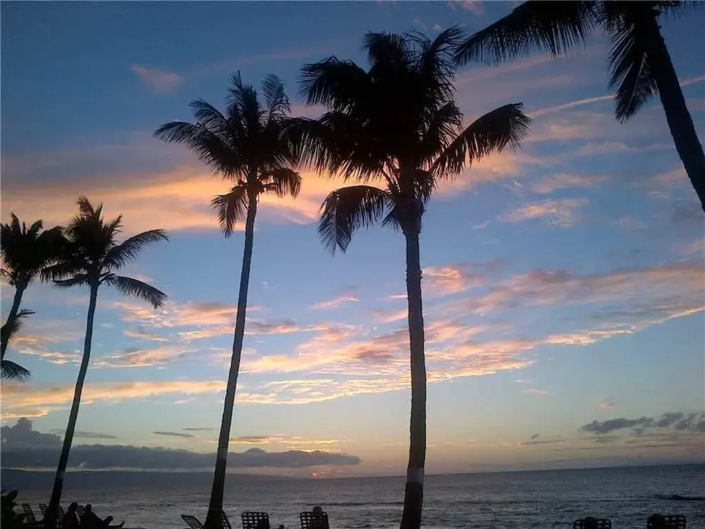 Paki Maui 224 by RedAwning