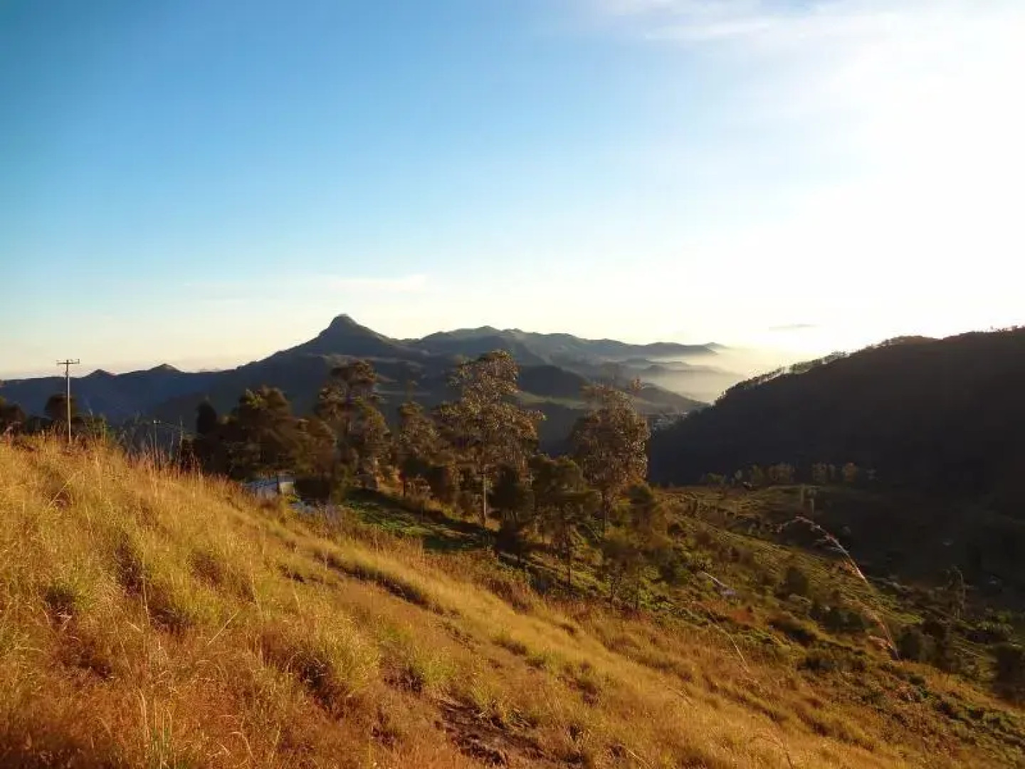 Royale Holidays Hotel