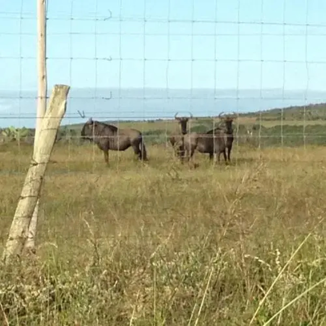 South 2 Sea Self Catering Accommodation