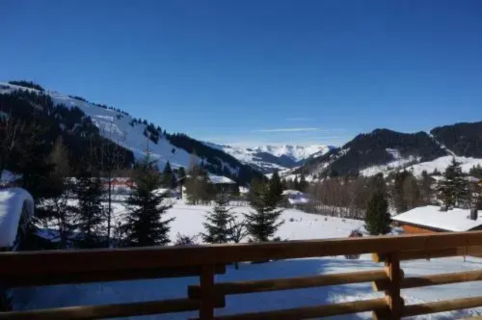 Ski Chalet Nomad