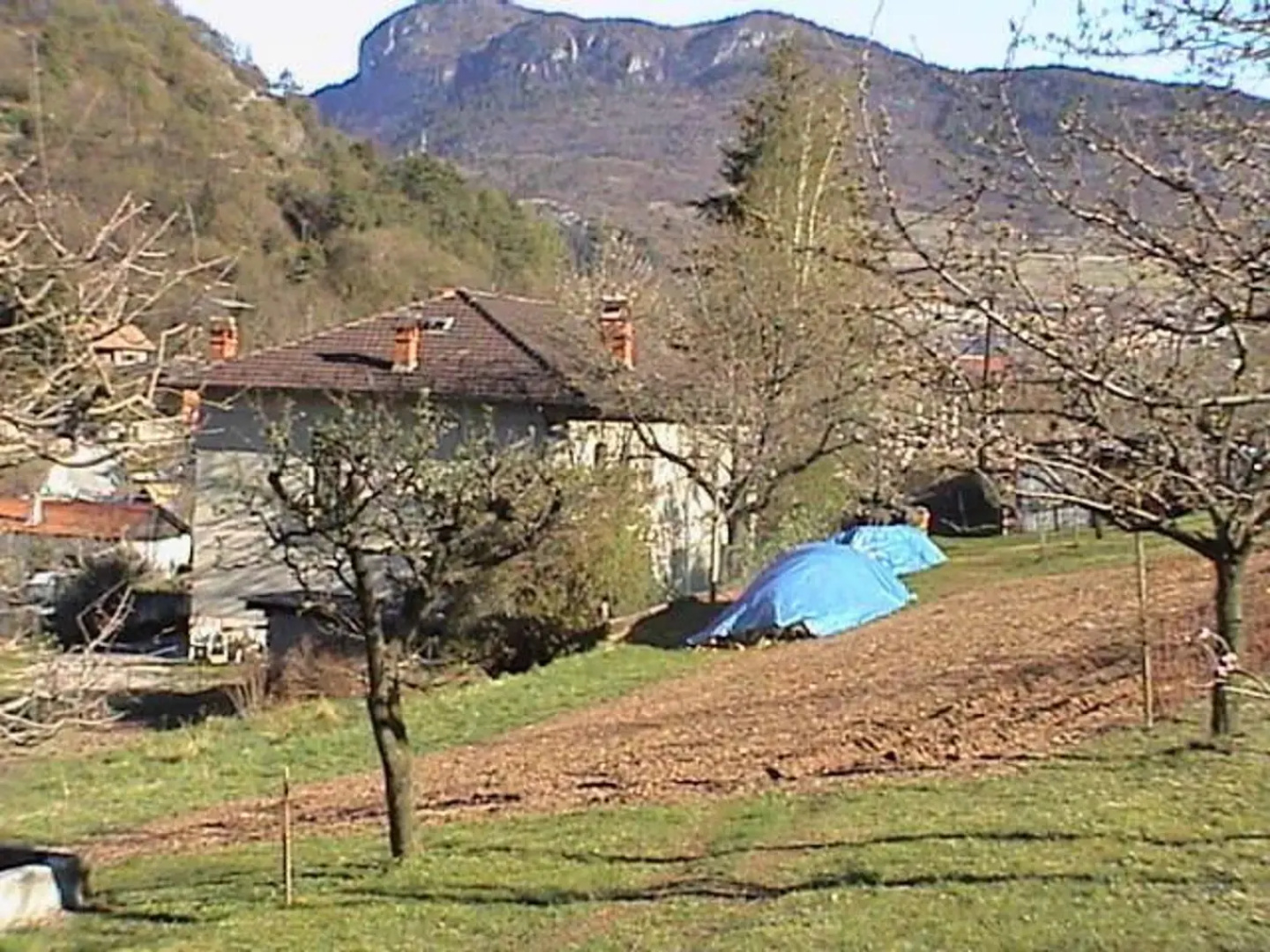 B&B La Pinara