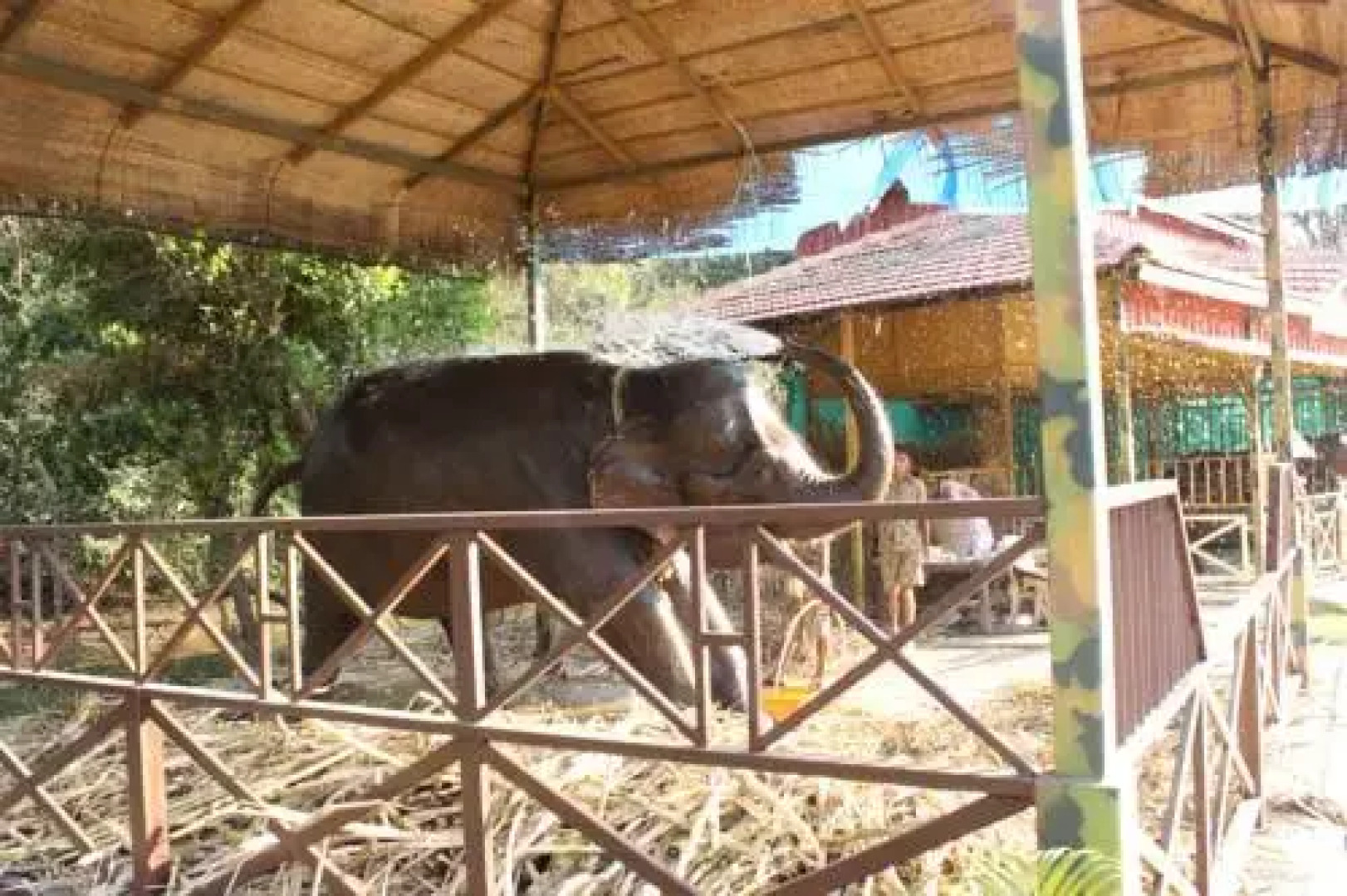 Shangri-La Jungle Village Resort