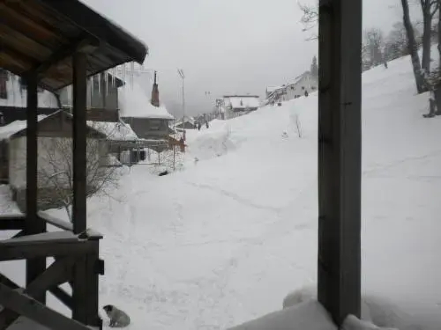 Vila Alpin