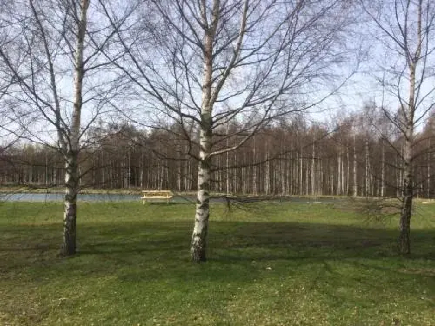 Gripenbergs Gårdsbutik