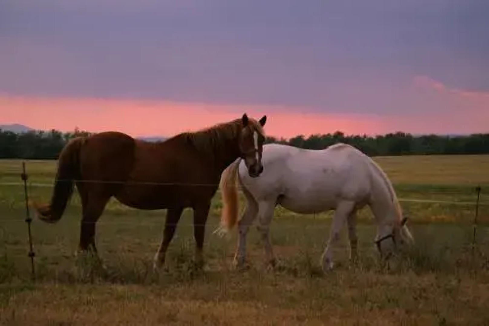 Les Gîtes De La Chérine
