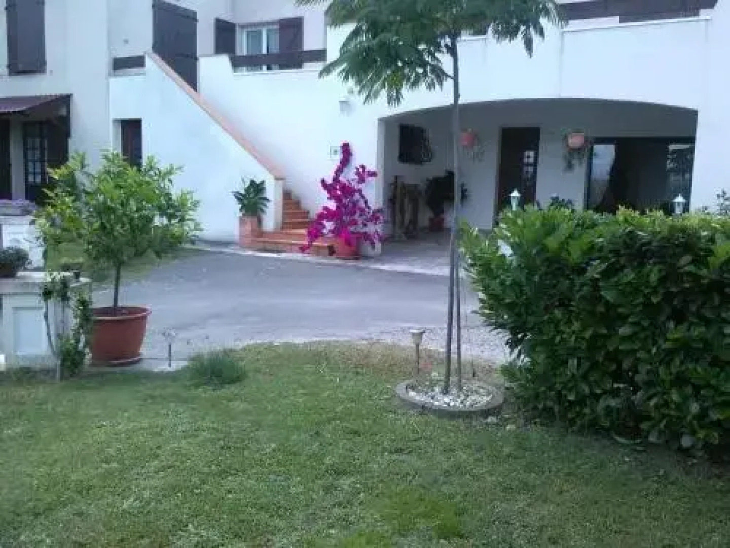 Appartement Caranica