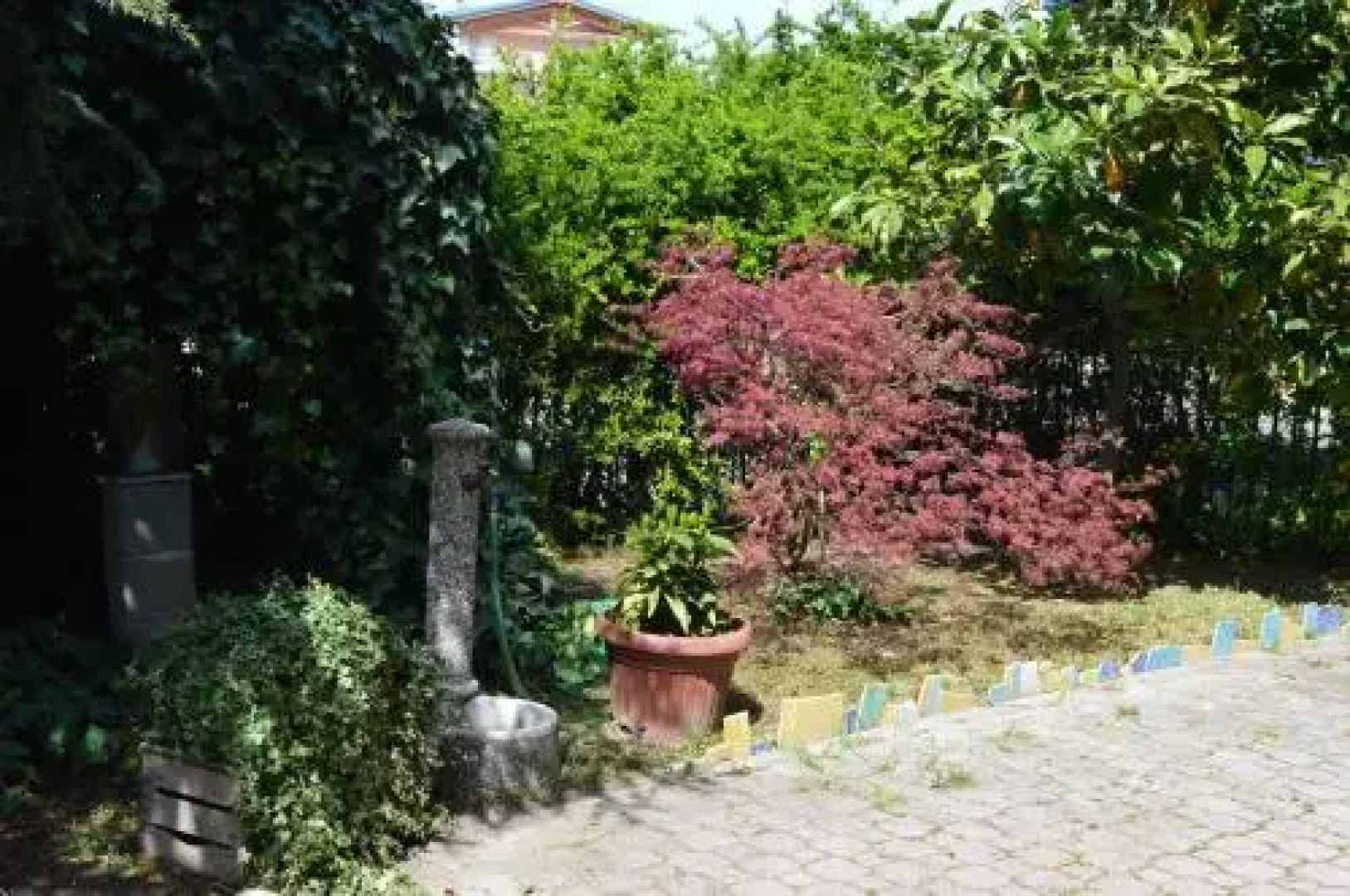 Il Nottetempo BB
