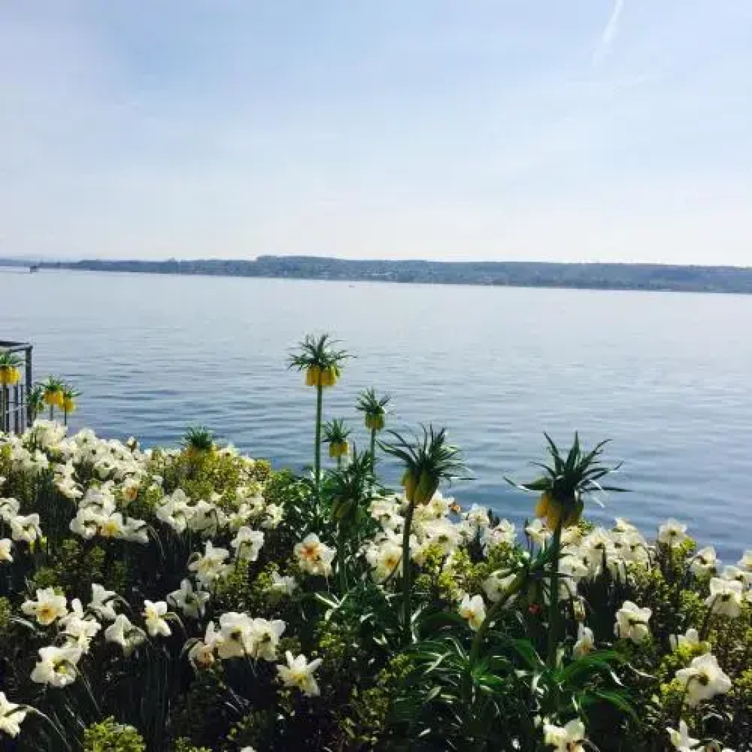 Ferienwohnung am Bodensee