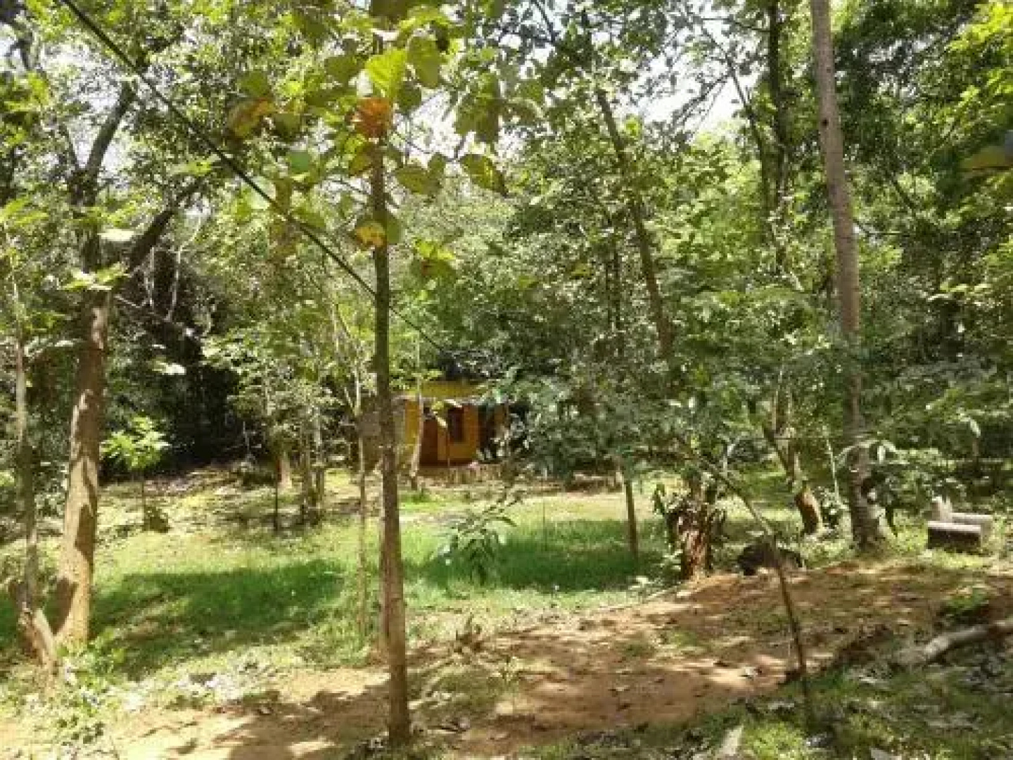 Sisila Inn