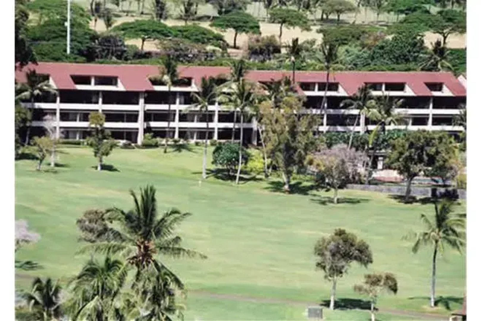 Kaanapali Royal P102 by RedAwning