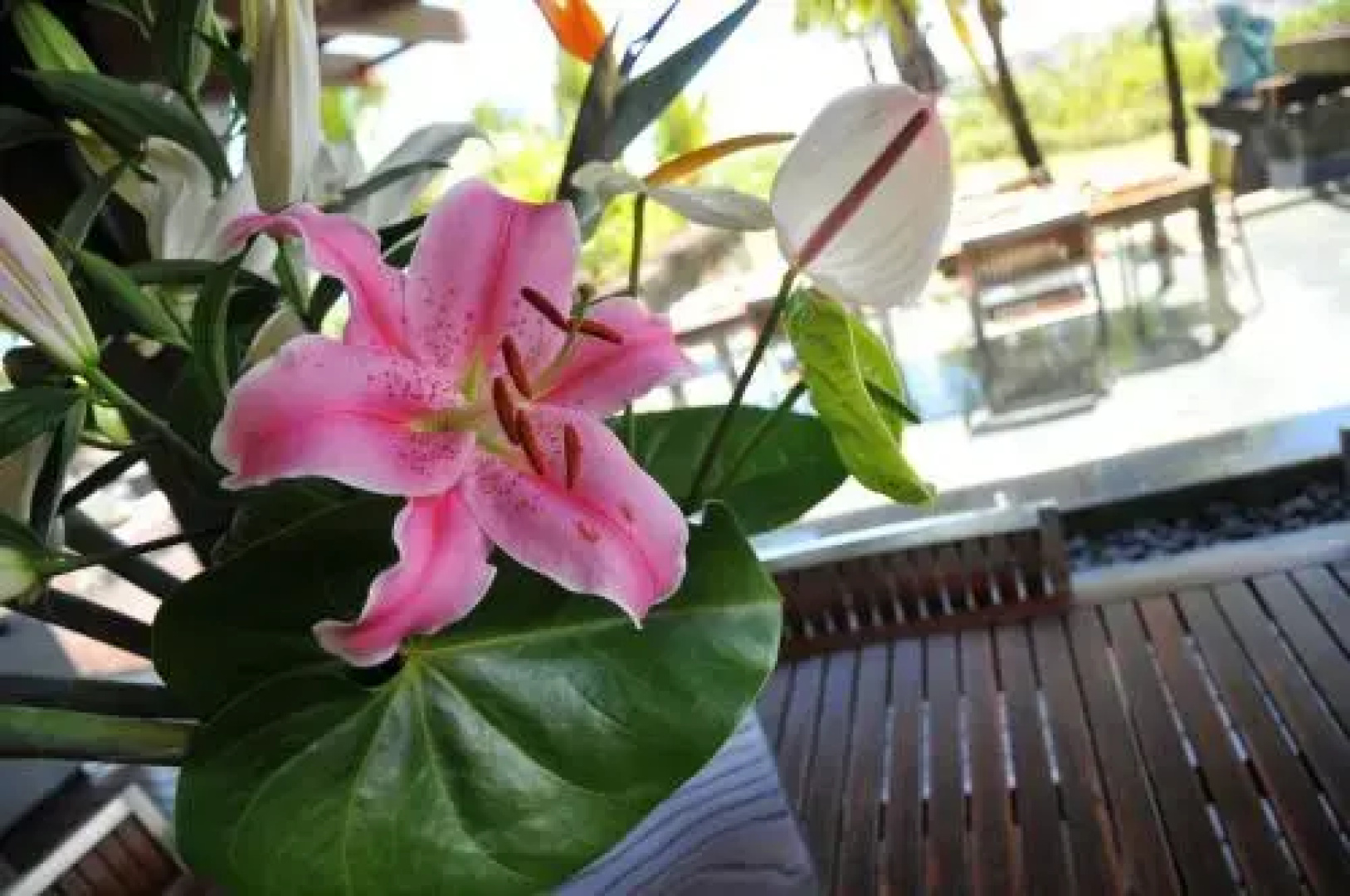 Villa Santara by Oazure 9-14 persons