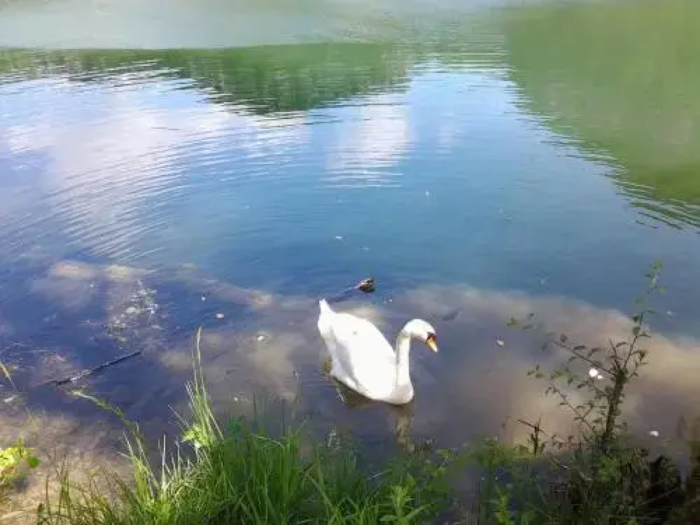 Maison Vacances Pieds Dans L'eau