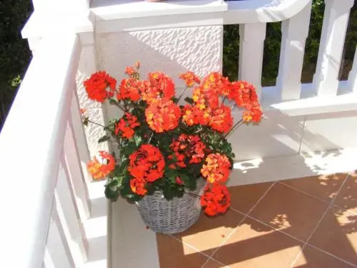 Guest house Villa Ana