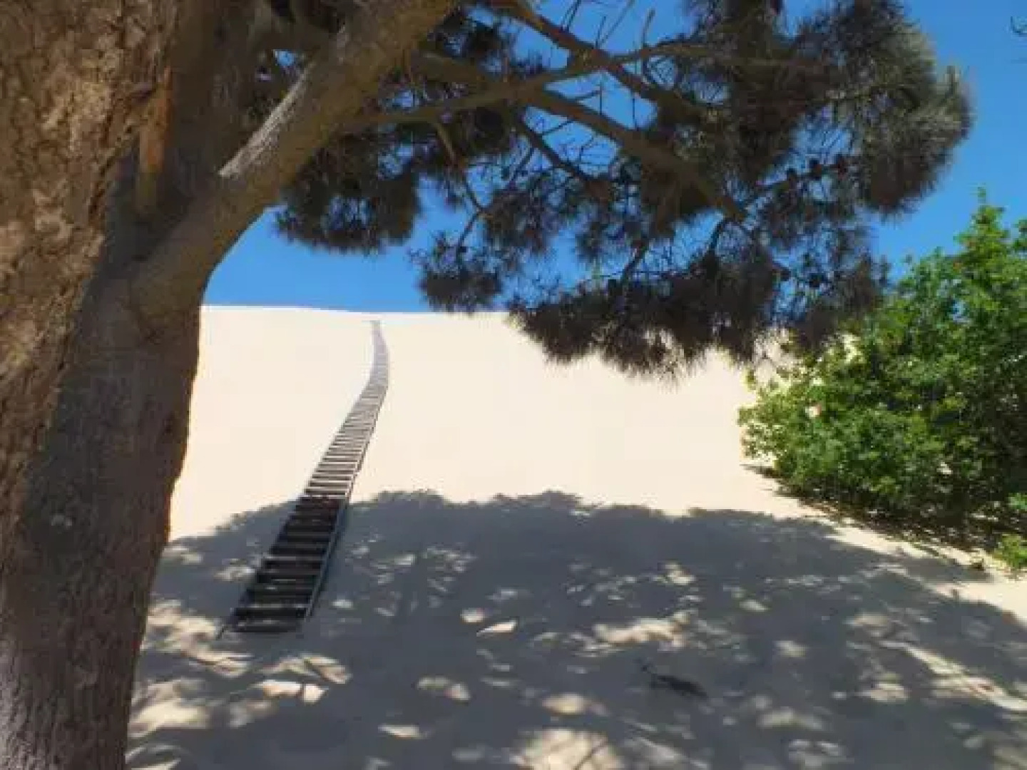 Camping de la Dune