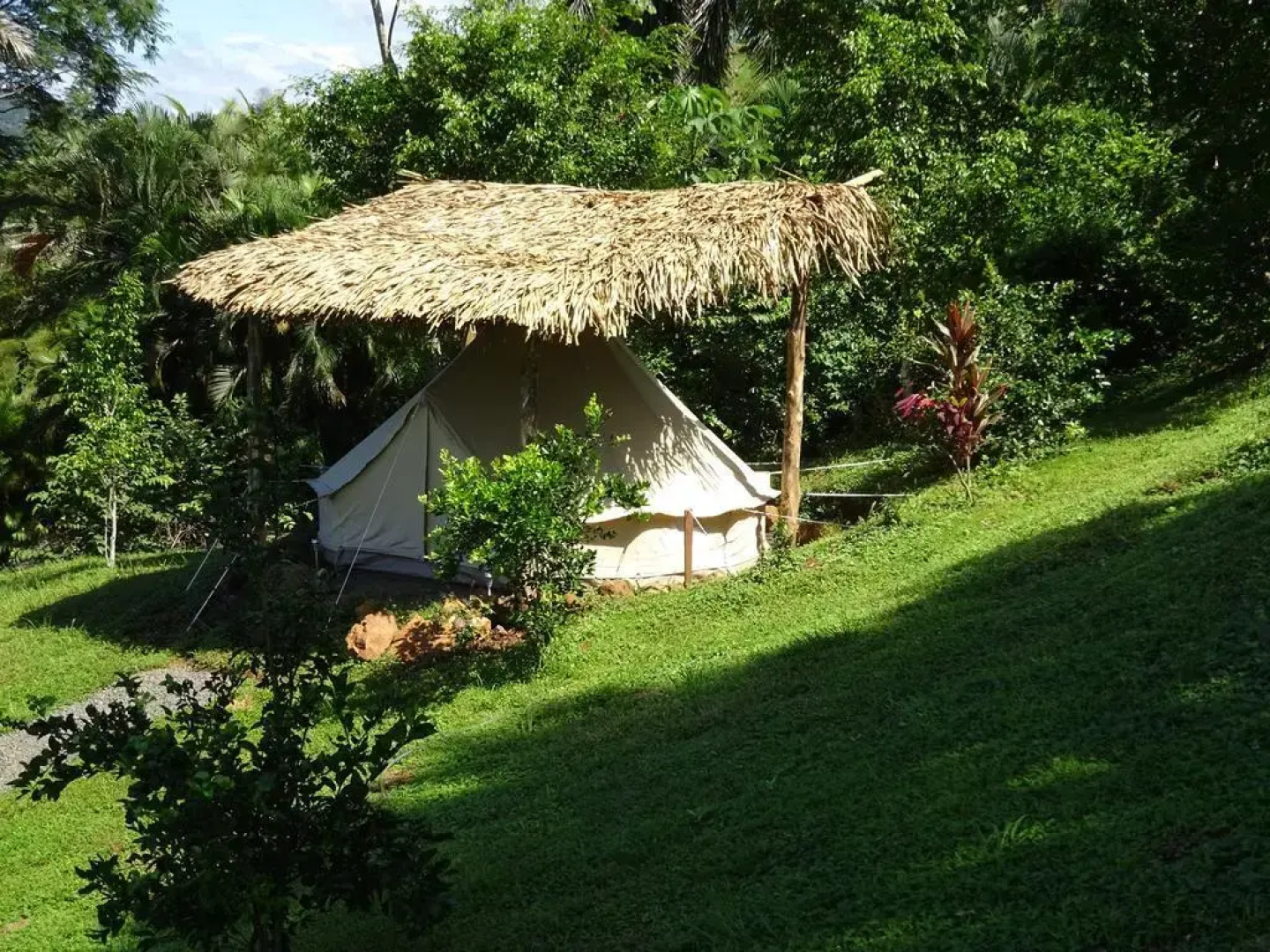 Hostel Alouatta