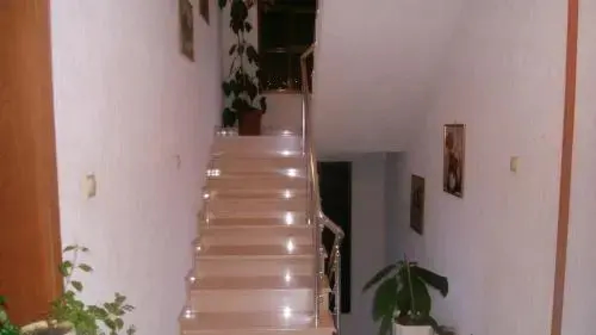 Villa Novak
