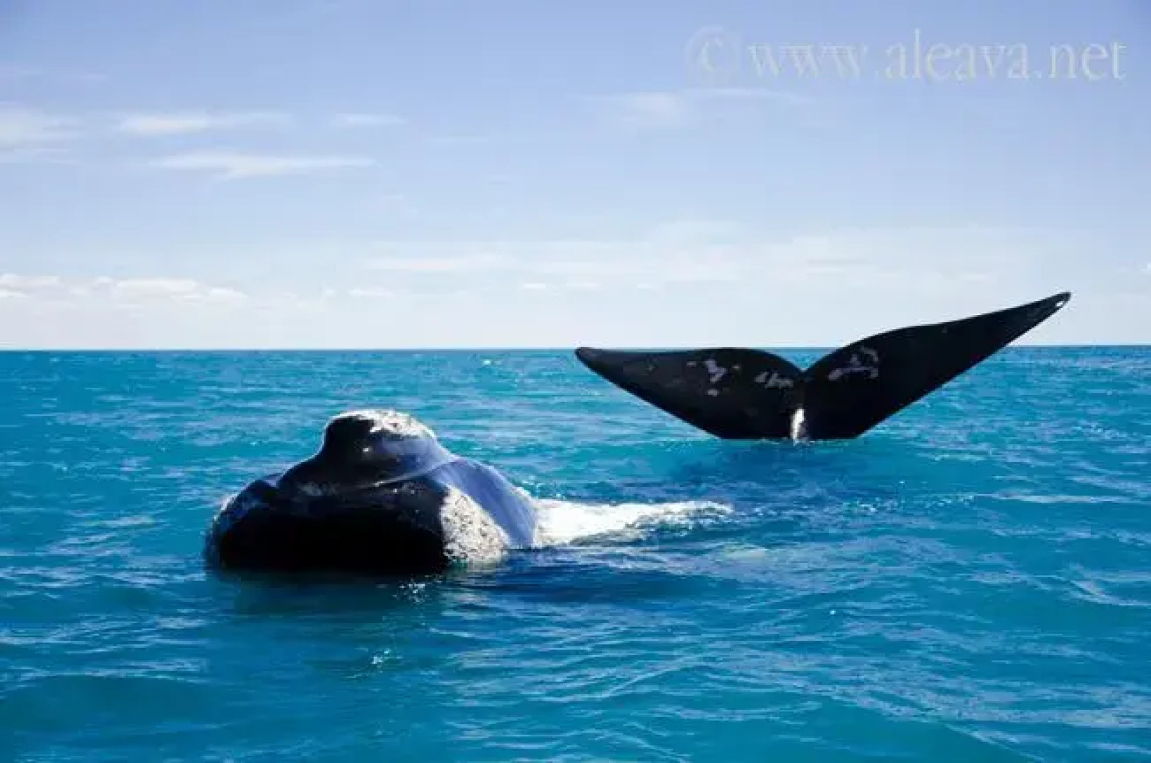 Del Nomade Hosteria Ecologica