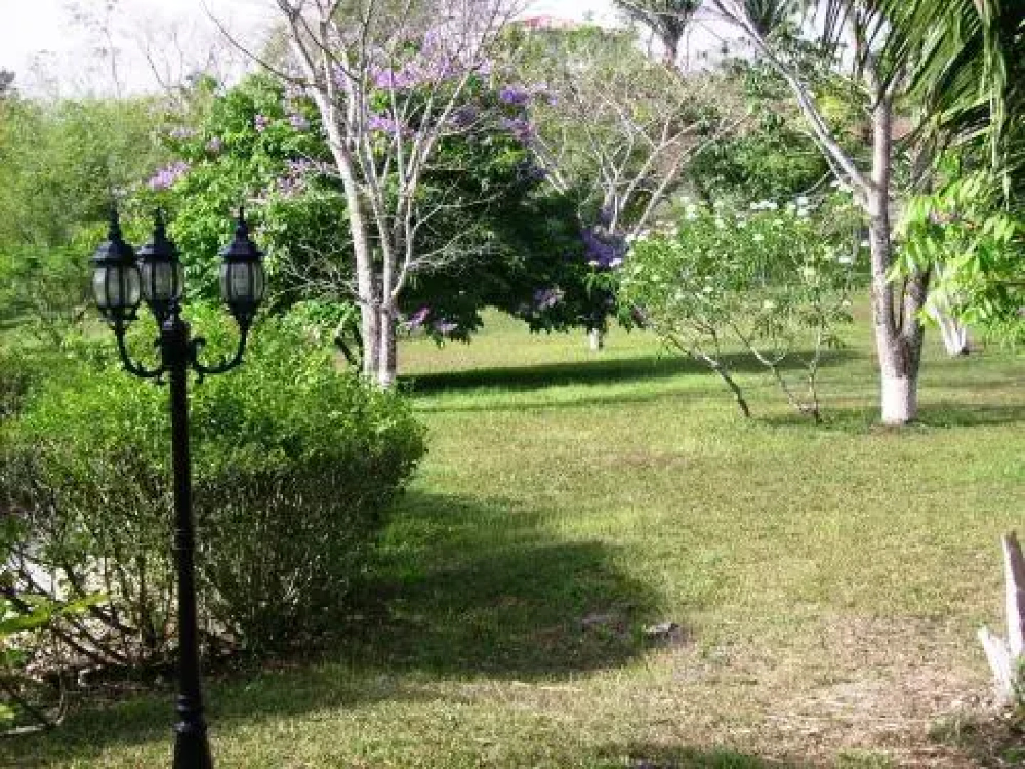 Leslie's Private Paradise