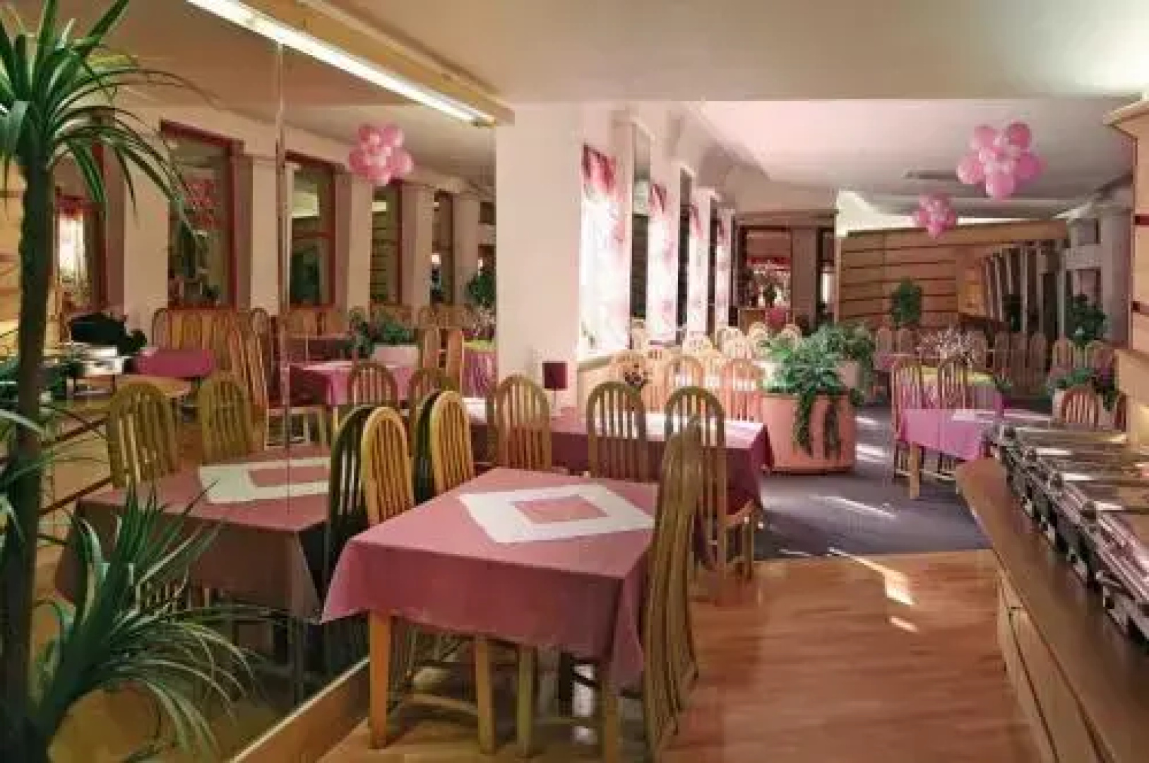 Hotel Maggi