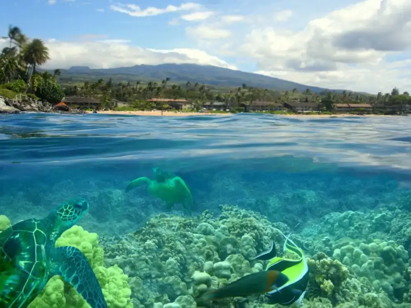 Kapalua Bay Villa 21g5 Gold Beach Front