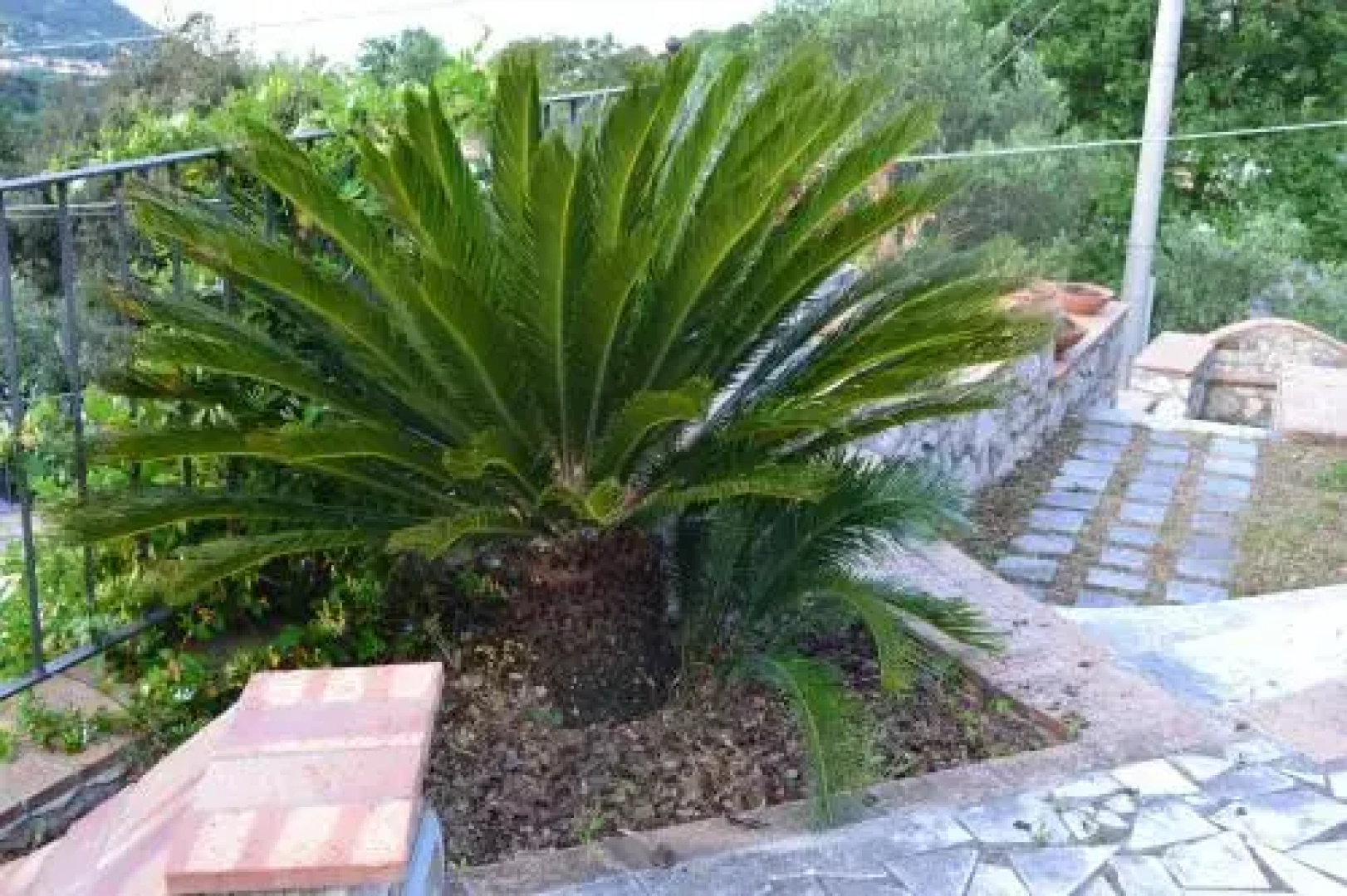 Wishing Well Maratea
