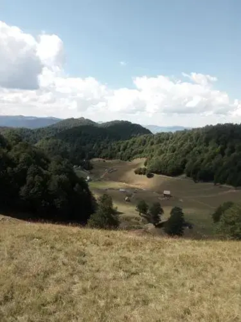 Eco Village Goles