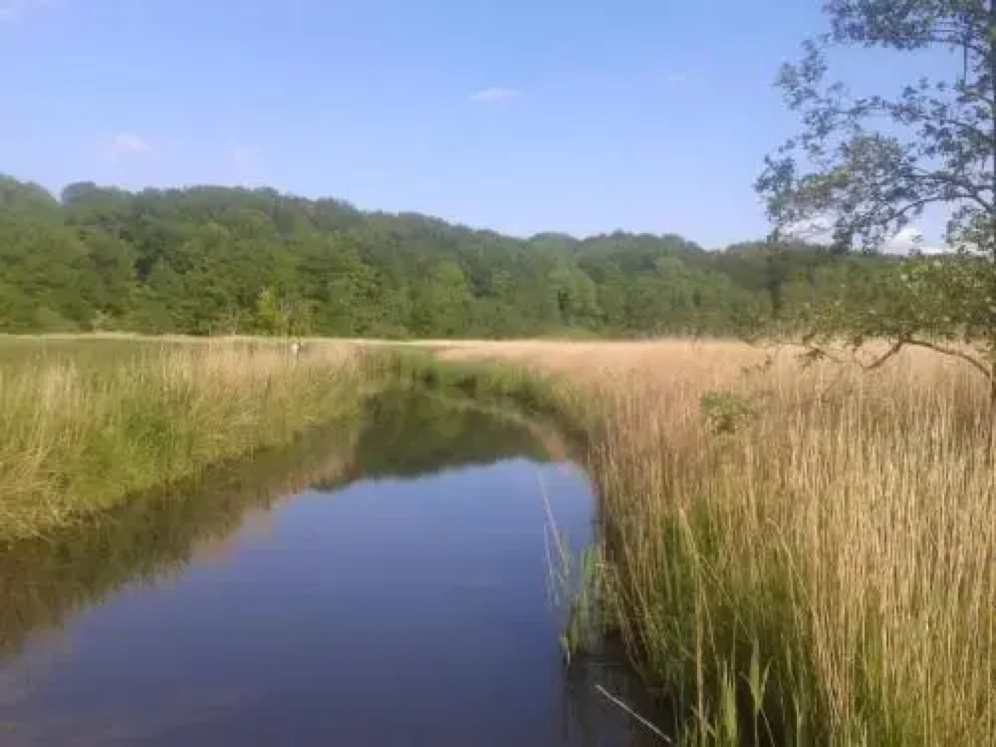 Ostsee Reetkate