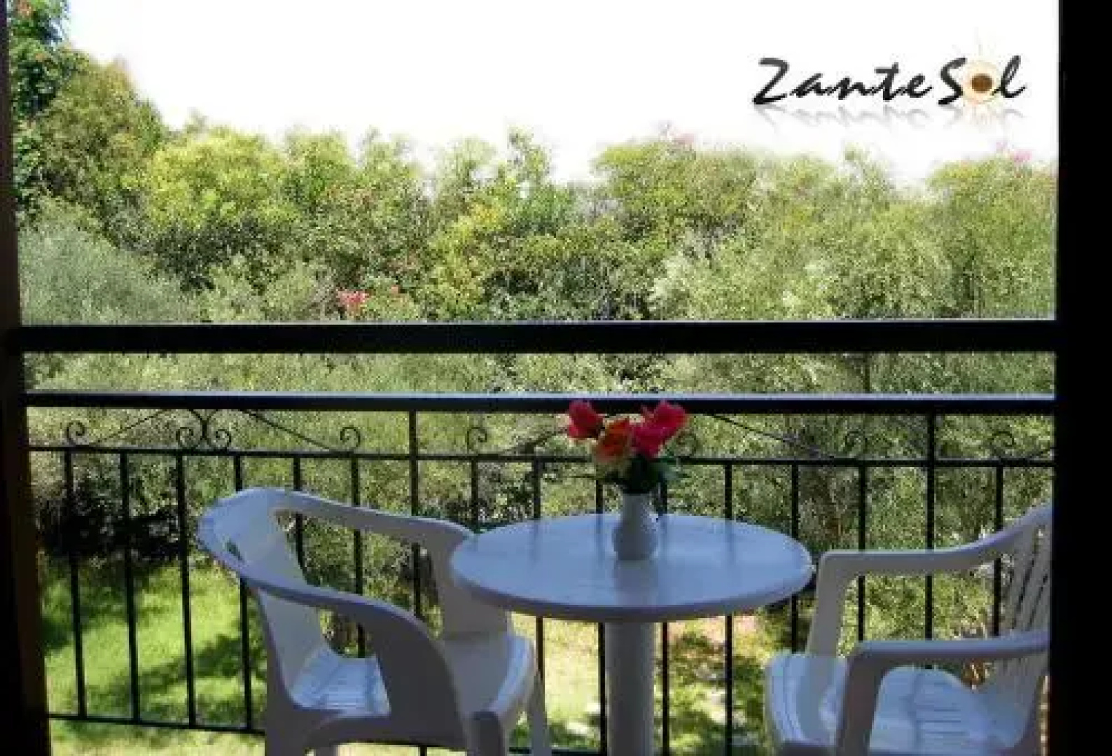 ZANTESOL
