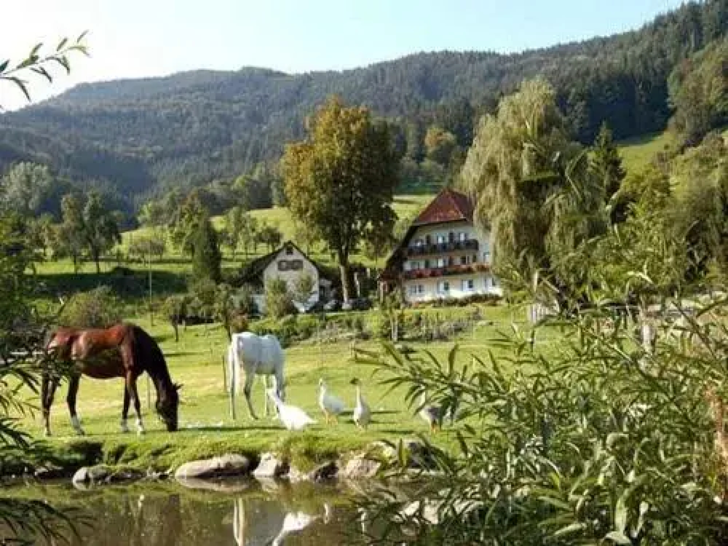 Weisbauernhof