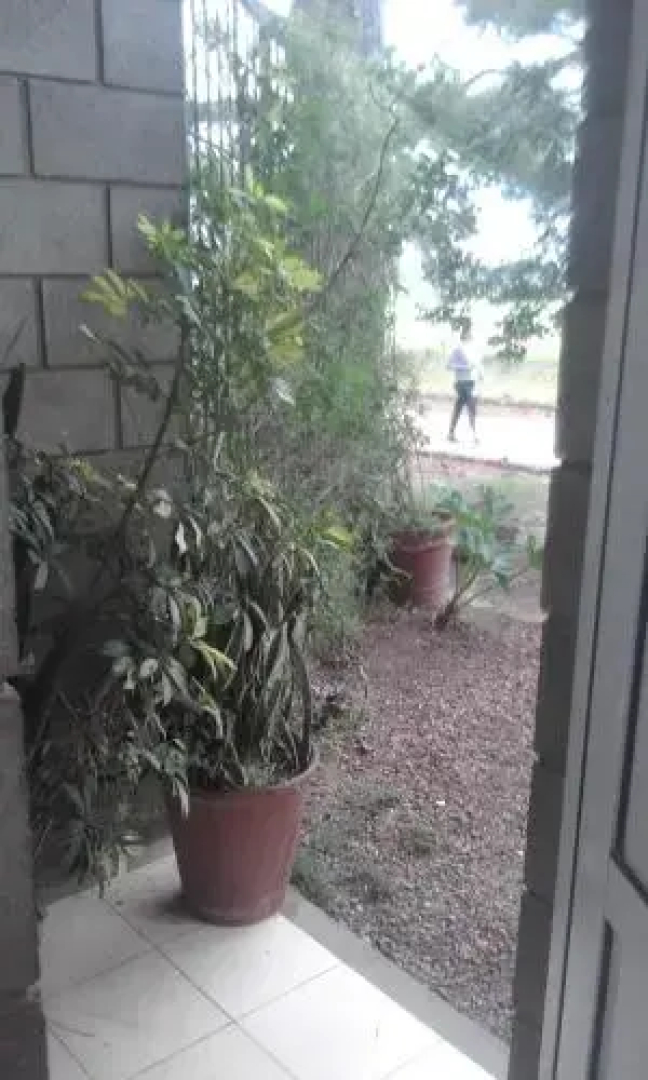 La Casa de los Pinos