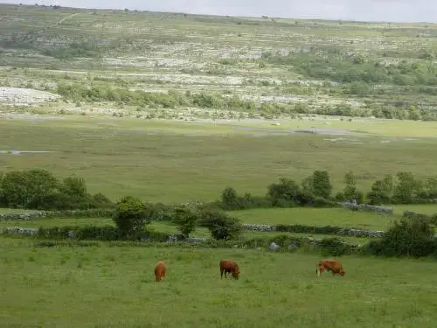 Clare's Rock Self-catering Accommodation