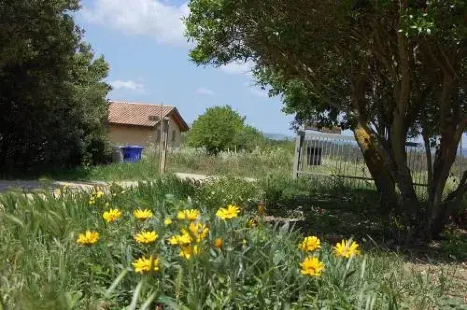 Agriturismo Furfullanu