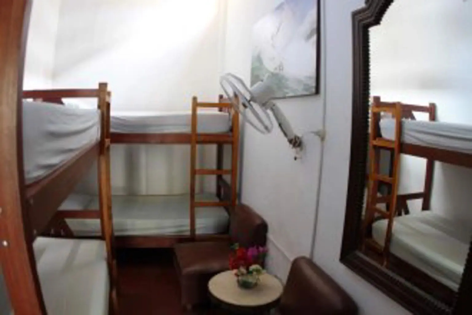 Taroland - Hostel