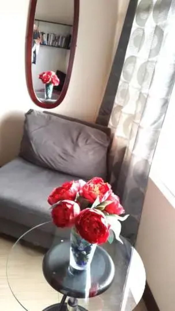 Executive Apartment