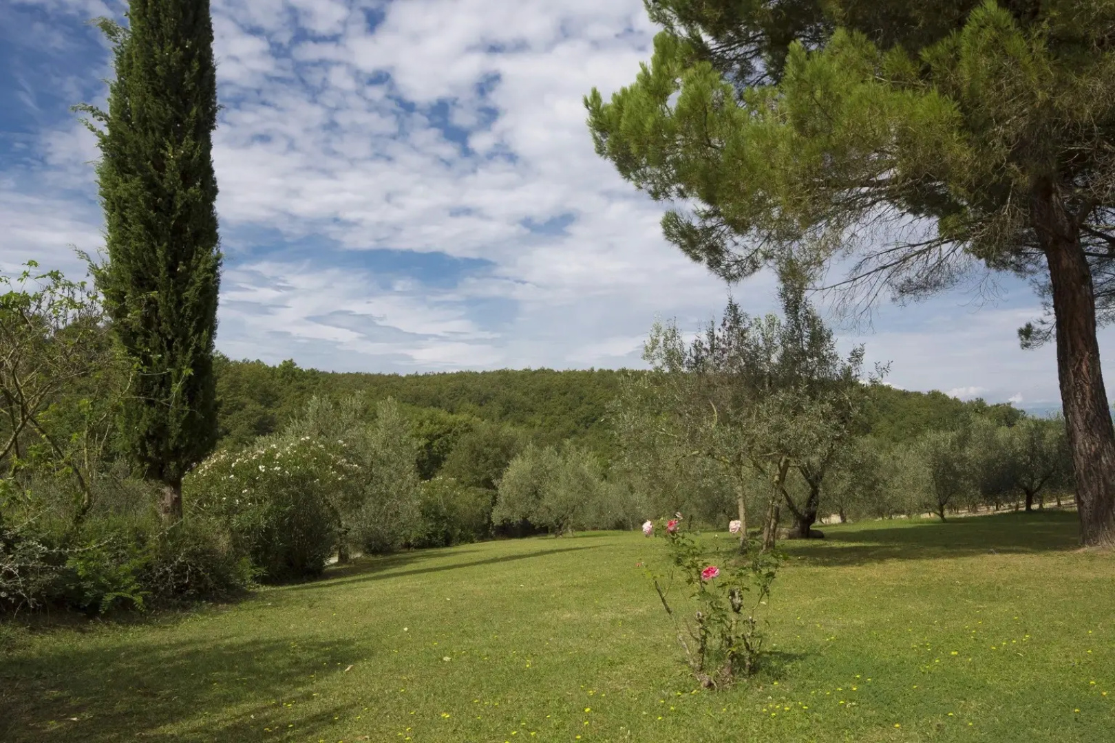 Country House Bosco Lazzeroni