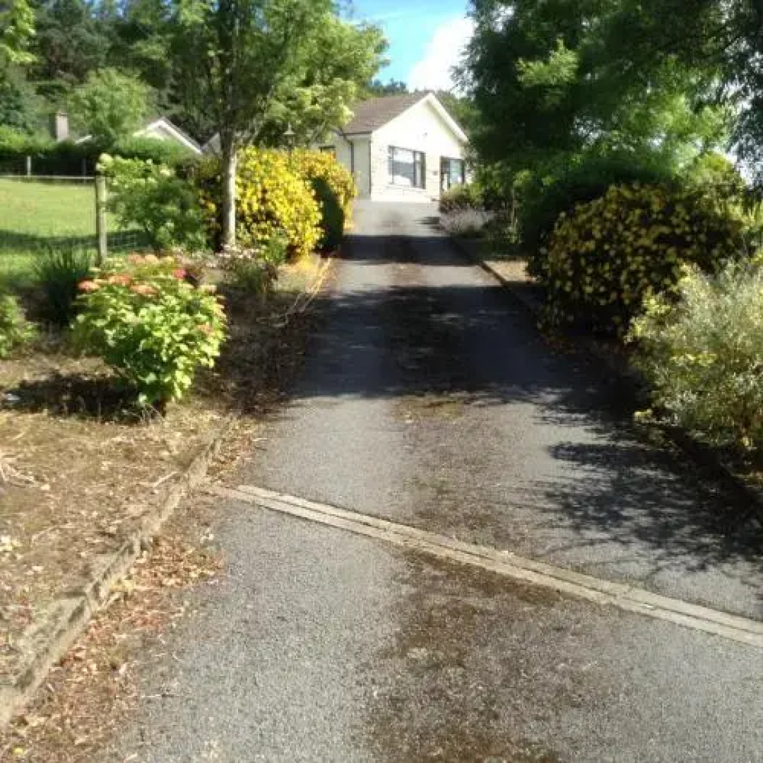 Hollymount House
