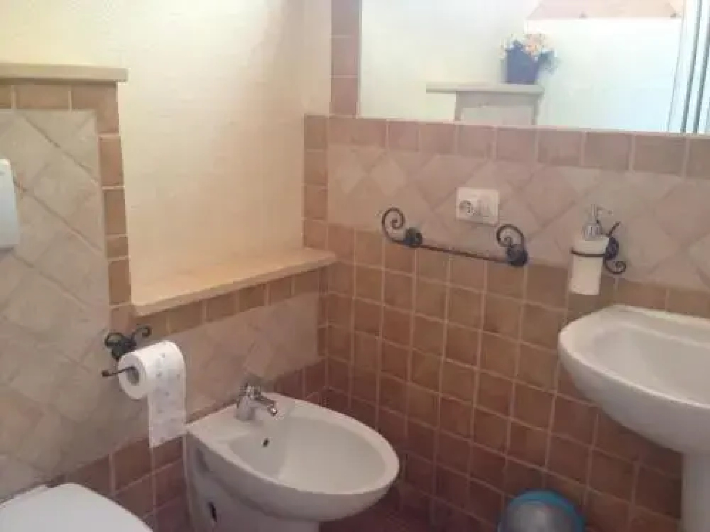 B&B Chorisia