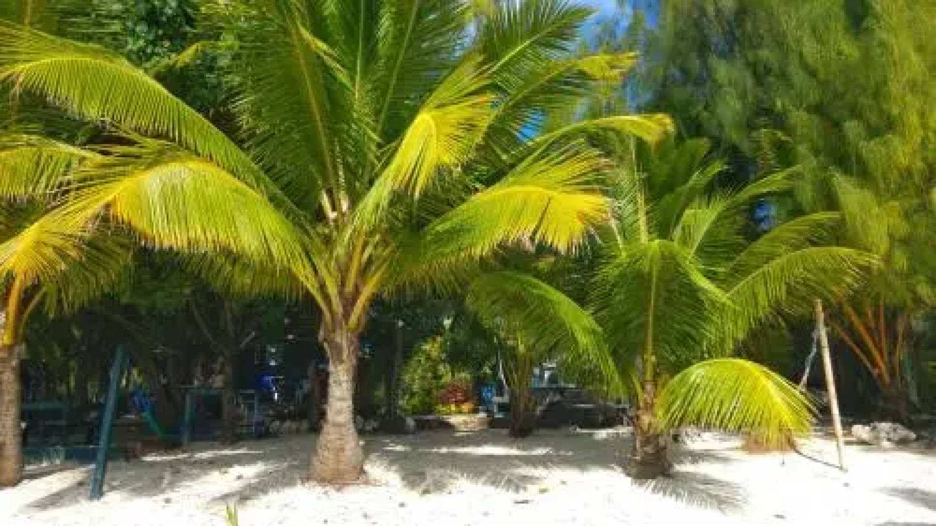 Matriki Beach Huts