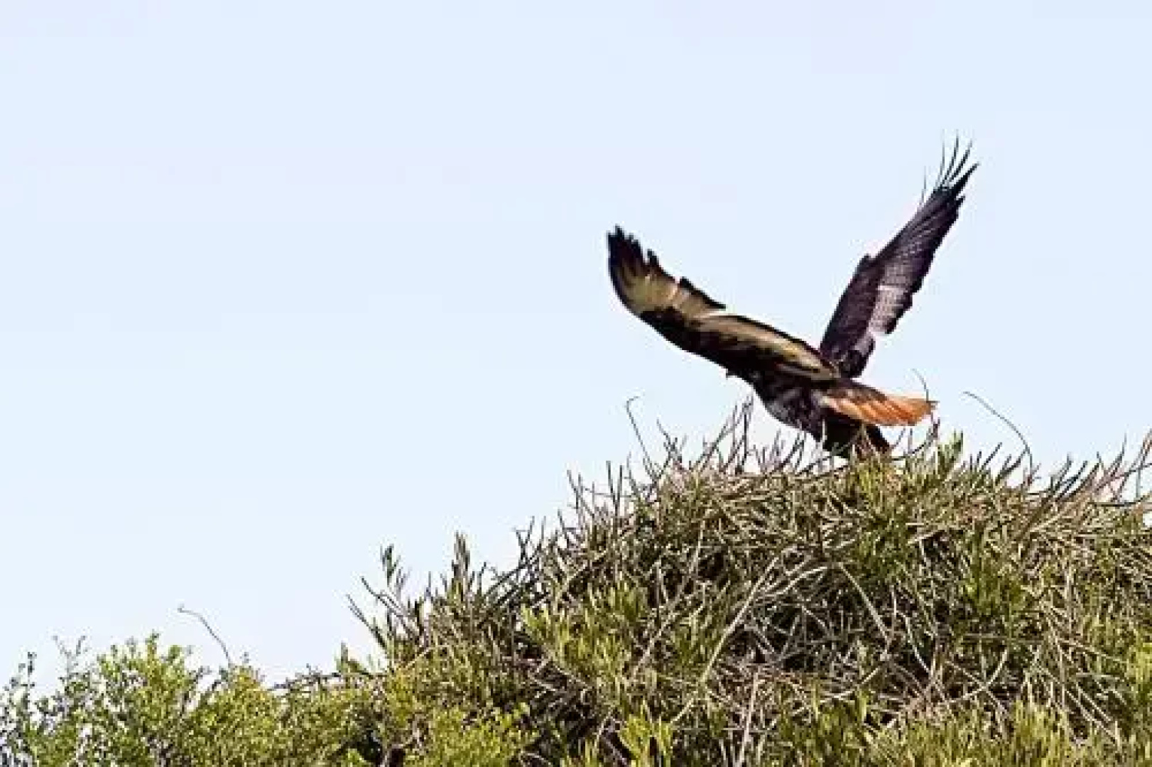 Addo Palace Bush Huts