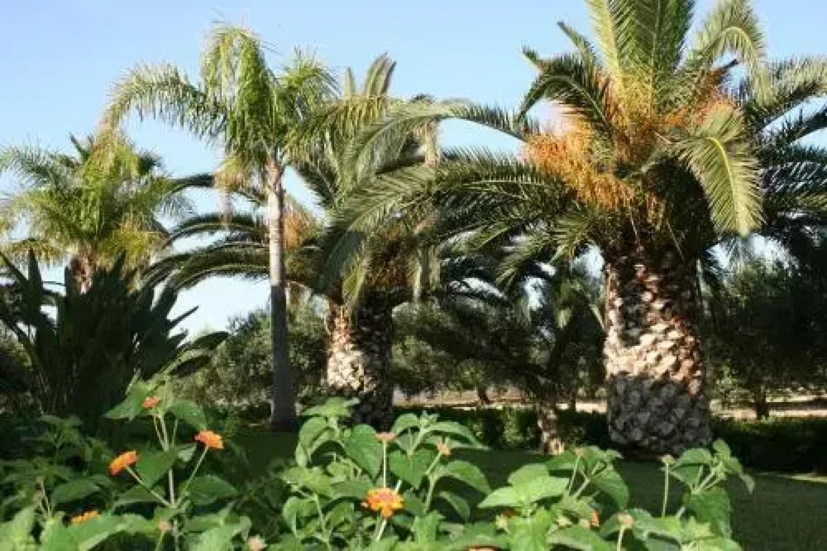 Villa Lisa Bed and Breakfast