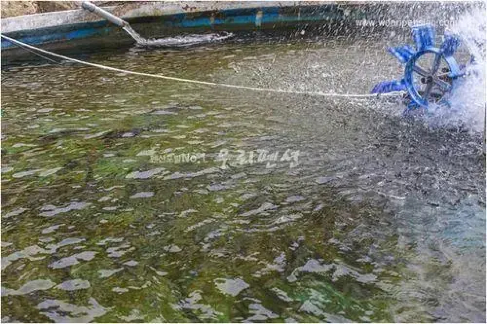 Wonju Beodeulchi Pension