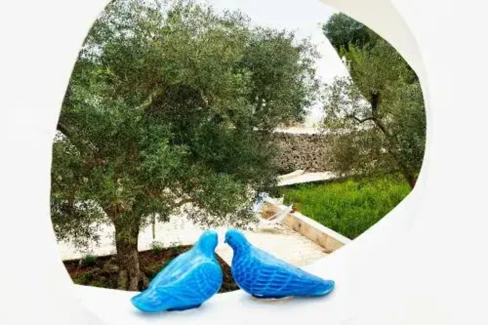 Holiday Homecontrada lamia nuova