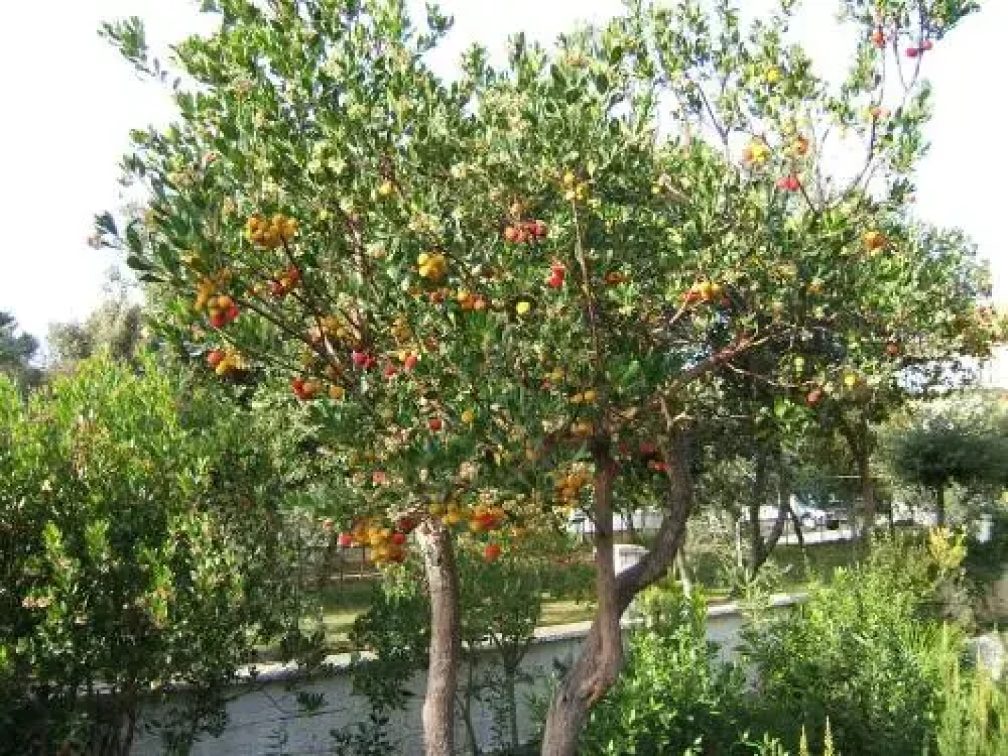 Vila Amantina
